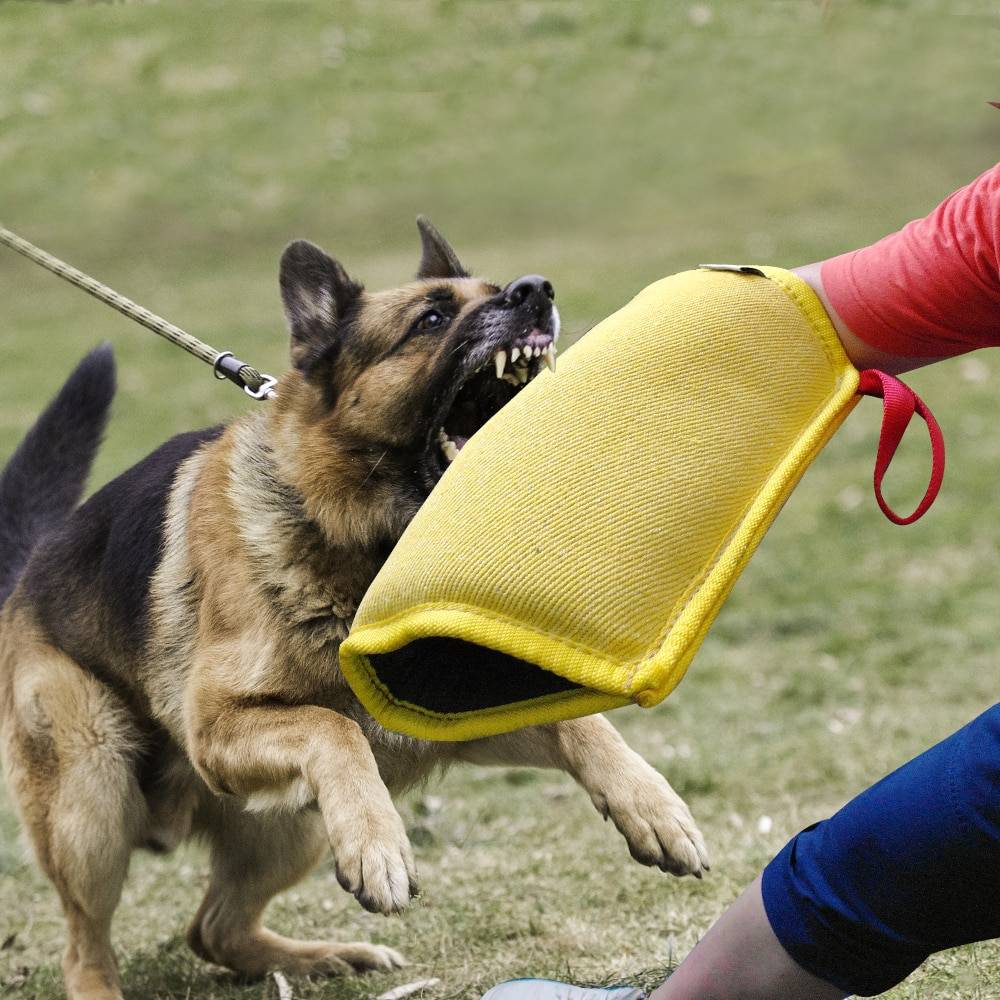Dog’s Training Bite Sleeve Dogs Training