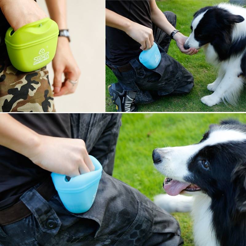 Dog’s Plastic Waterproof Treat Pouch Dogs Training