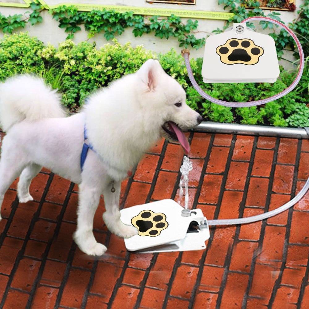 Dog Drinking Fountain Dogs Feeding & Watering Accessories