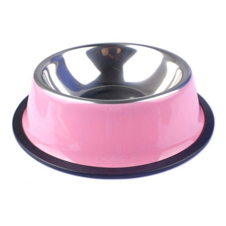 Modern Steel Dog's Bowl - Adorable Darling