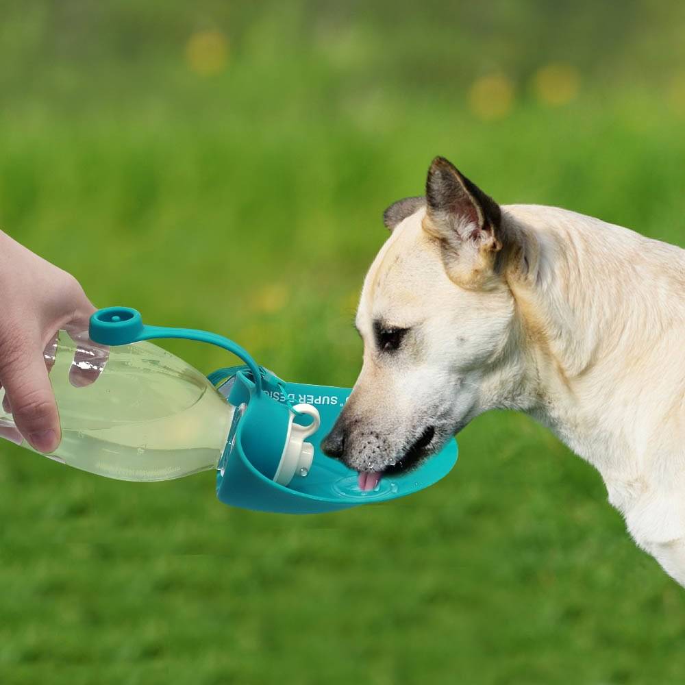 Portable Expandable Travel Food Grade Silicone Dog Water Bottle Dogs Feeding & Watering Accessories