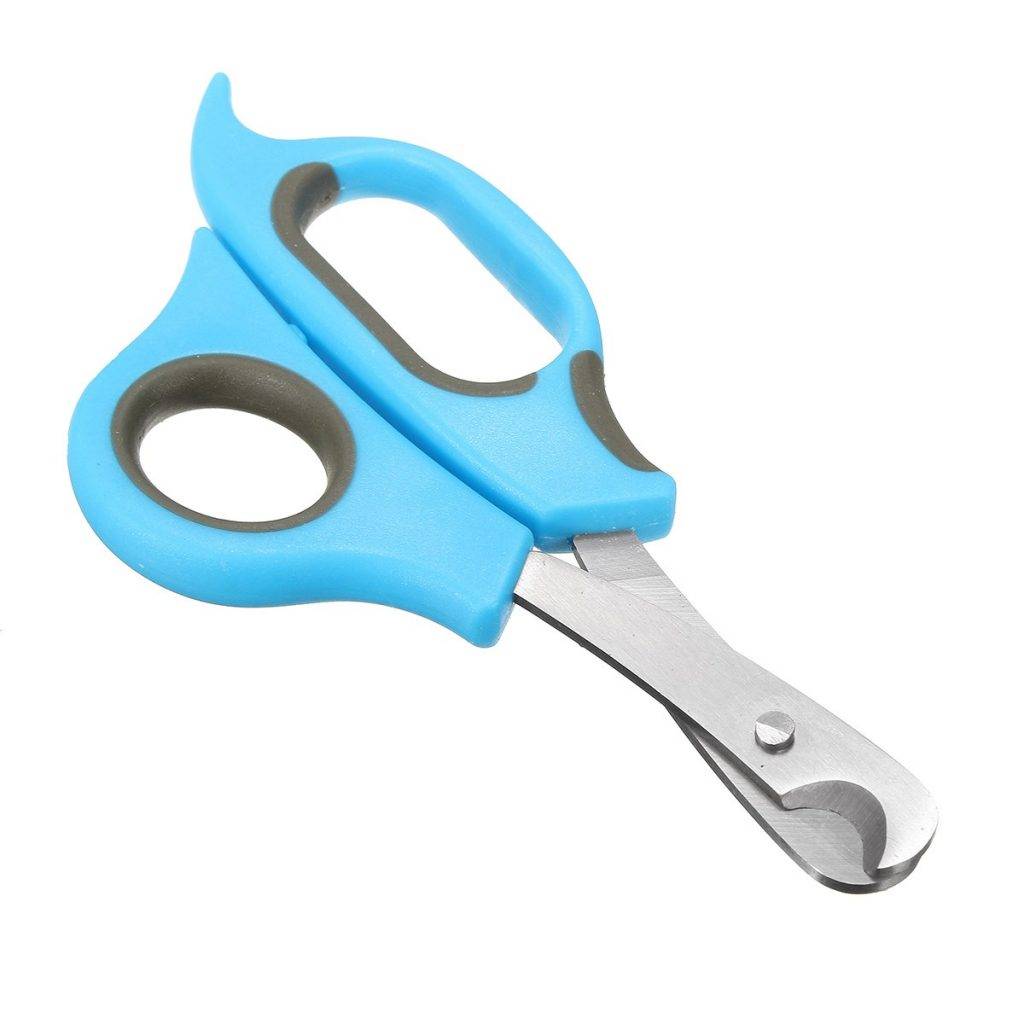 Metal Scissors for Nail Cats - Adorable Darling