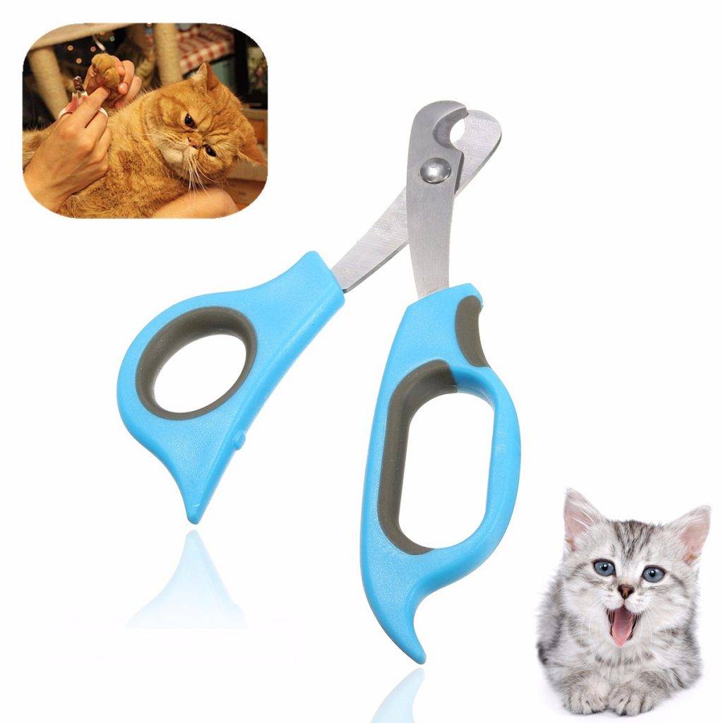 Metal Scissors for Nail Cats - Adorable Darling