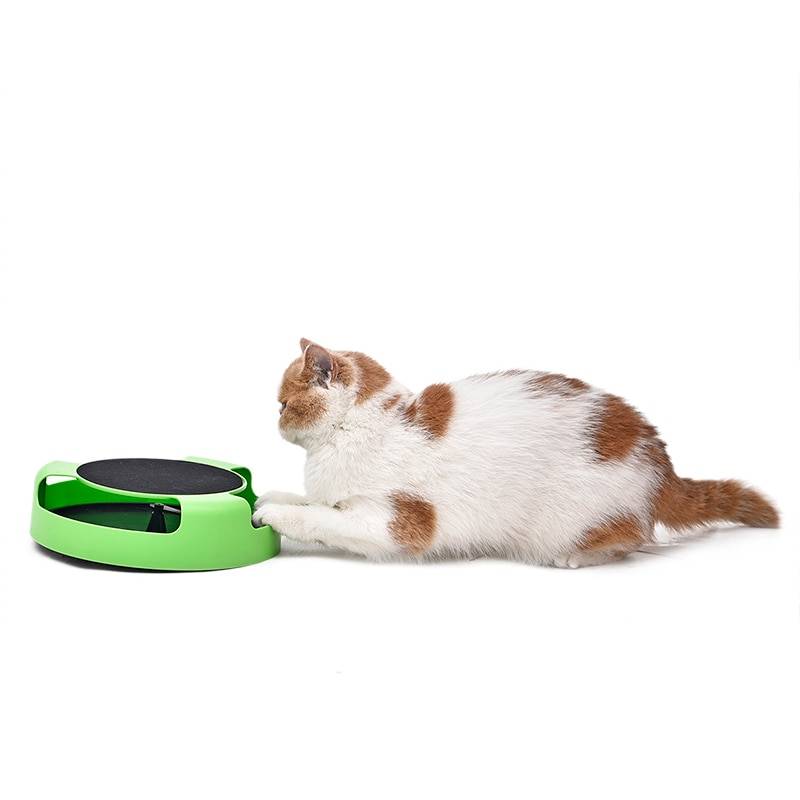 Mouse-to-Catch Cat Training Toy Cats Training