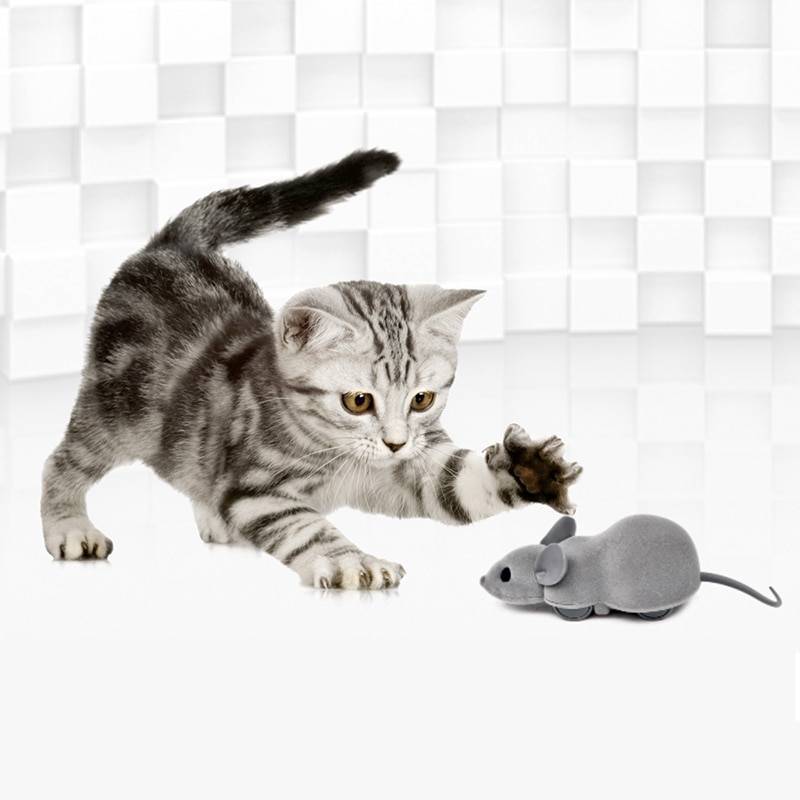 Cat Electric Mouse with App Control Cats Training