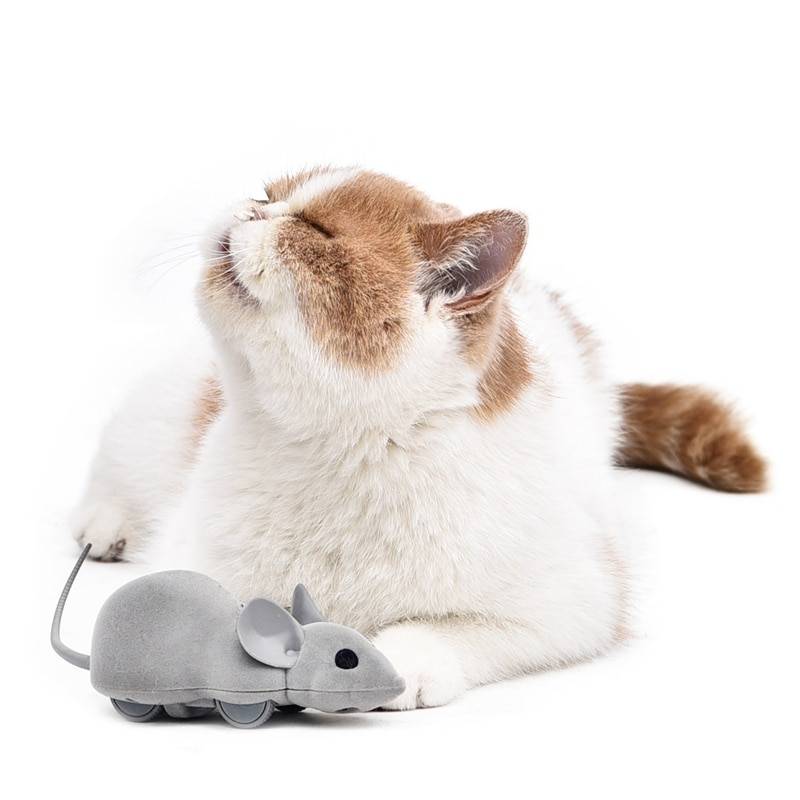 Cat Electric Mouse with App Control Cats Training