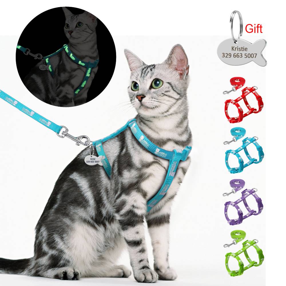 Cat’s Luminous Harness And Leash Set Cats Collars, Harnesses & Leashes