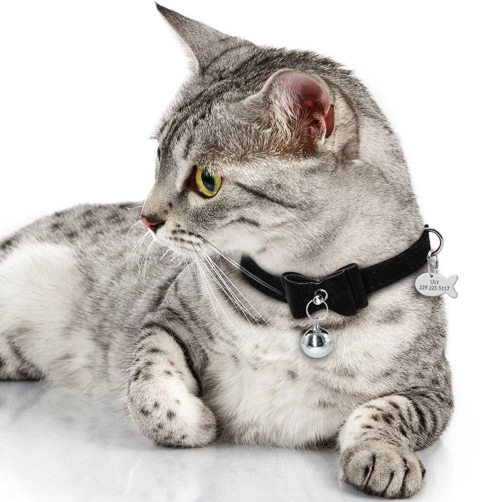 Cat Collar with Bell and ID Tag in Shape Fish Cats Collars, Harnesses & Leashes