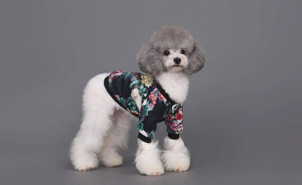 Floral Print Sweater for Pet Cats Clothing