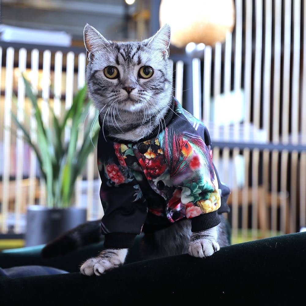 Floral Print Sweater for Pet Cats Clothing