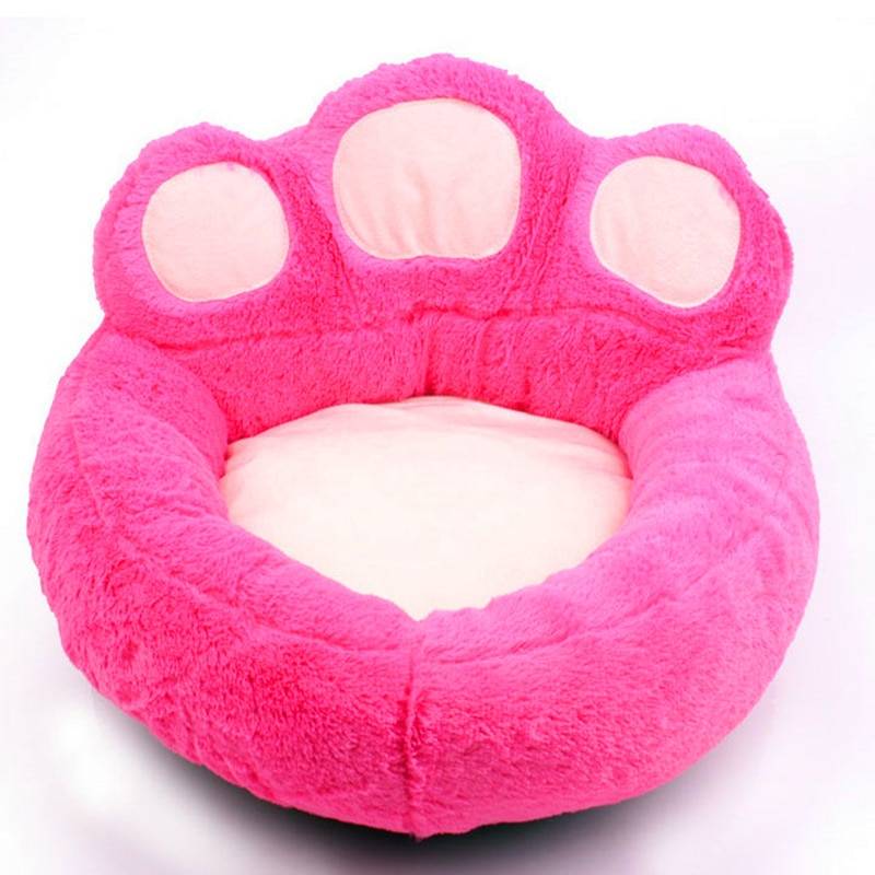 Dog’s Paw Shaped Bed Beds Dogs