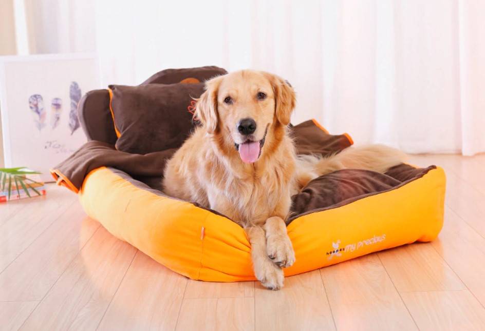 King Pet Bed Set Beds Dogs