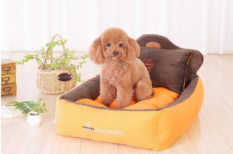 King Pet Bed Set Beds Dogs