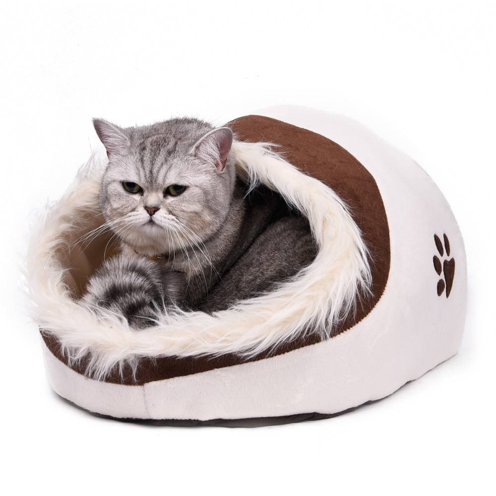Elegant Warm Bed for Cats Beds Cats