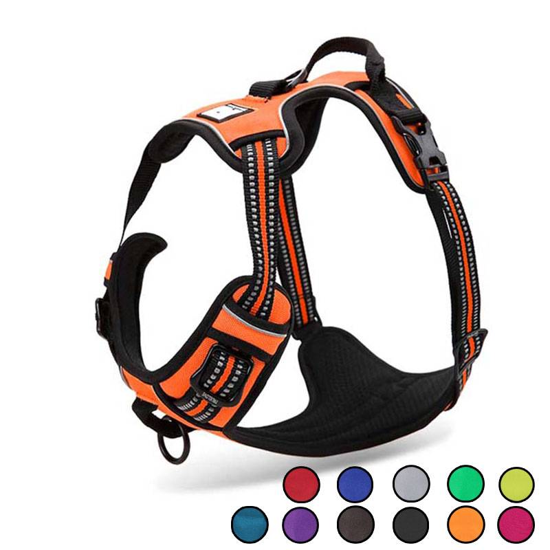 Dog’s Reflective Nylon Harness Collars, Harnesses & Leashes Dogs