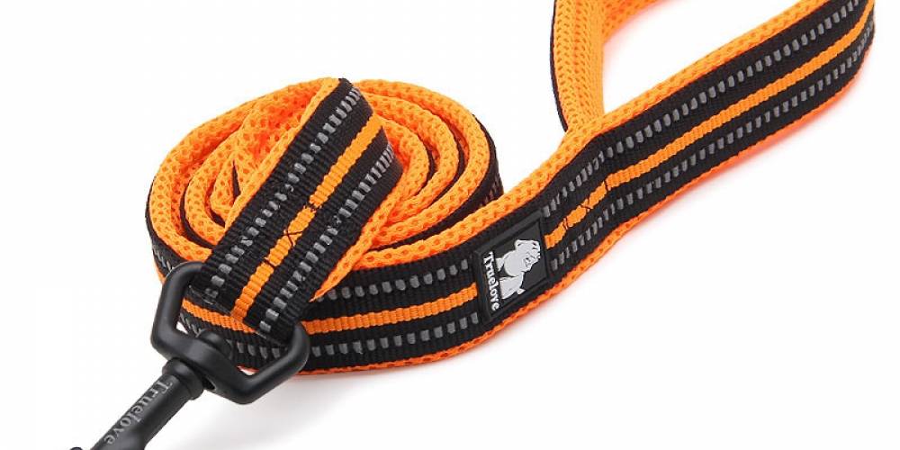 Soft Nylon Dog Leash with Reflective Stripes Collars, Harnesses & Leashes Dogs