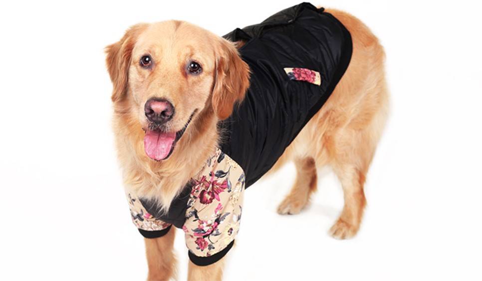 Dog’s Floral Print Vest Clothing Dogs