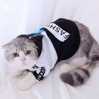 Cat's Fashion Cotton Hoodie - Adorable Darling