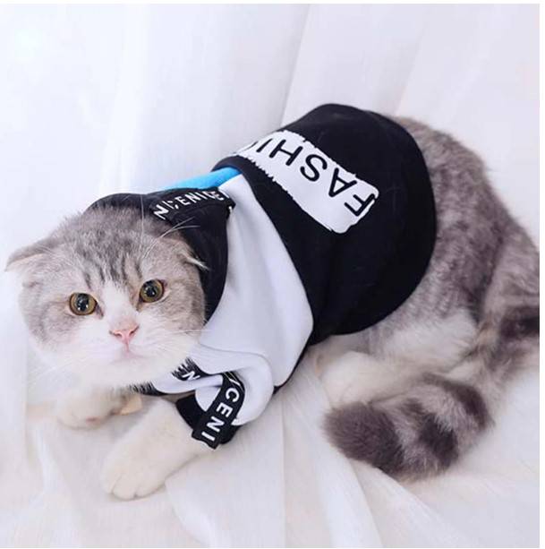 Cat’s Fashion Cotton Hoodie Cats Clothing