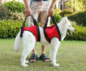Dog Lift Support Vest for Mobility Impaired Collars, Harnesses & Leashes For Dogs Sick or Mobility Impaired
