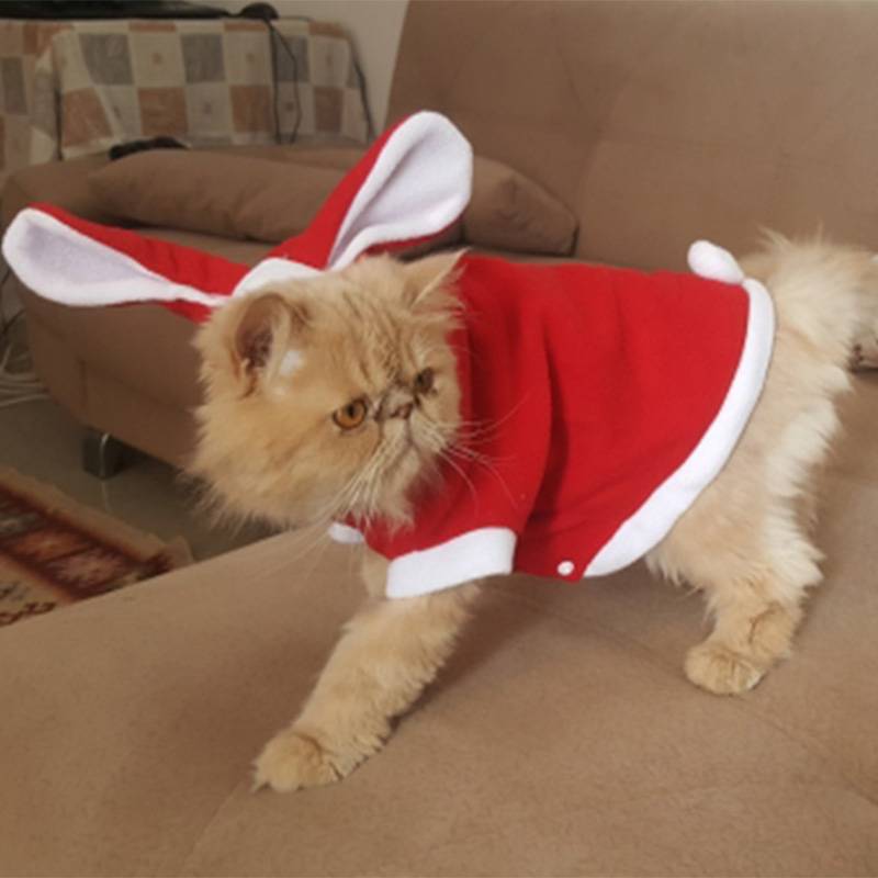 Cat’s Christmas Santa Claus Clothing Pet Christmas Costume and Toy