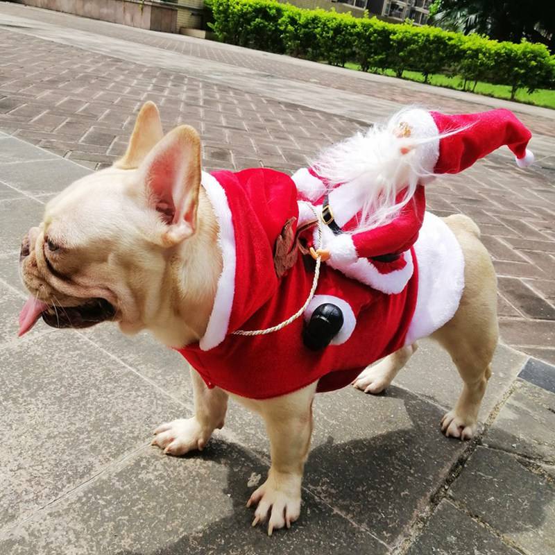 Dog’s Funny Christmas Themed Costume Pet Christmas Costume and Toy