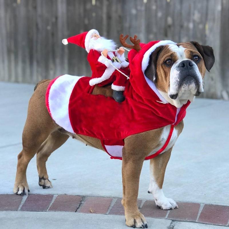 Dog’s Funny Christmas Themed Costume Pet Christmas Costume and Toy