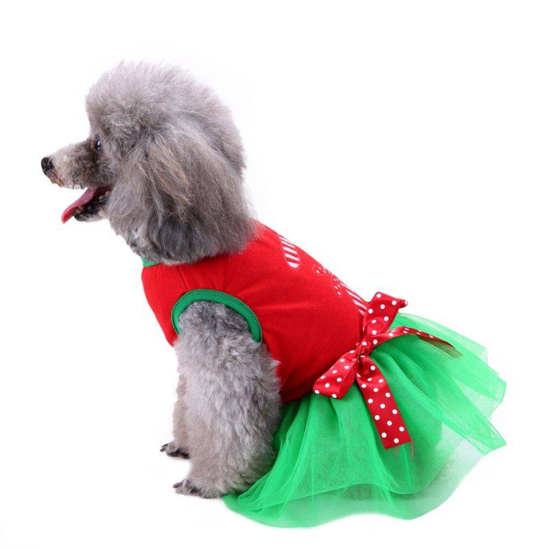 Patterned Christmas Dog Dress